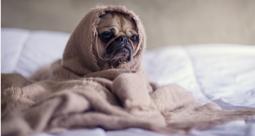 Suspenso en convocatoria; tips para recuperarte y prepararte